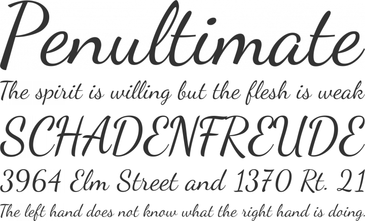 FREE FONT SCRIPT free font script: