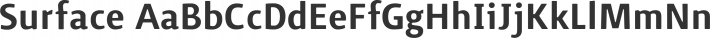 Surface font family by Bruno Herfst