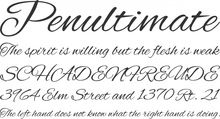 free-font-alex-brush-by-typesetit-font-squirrel