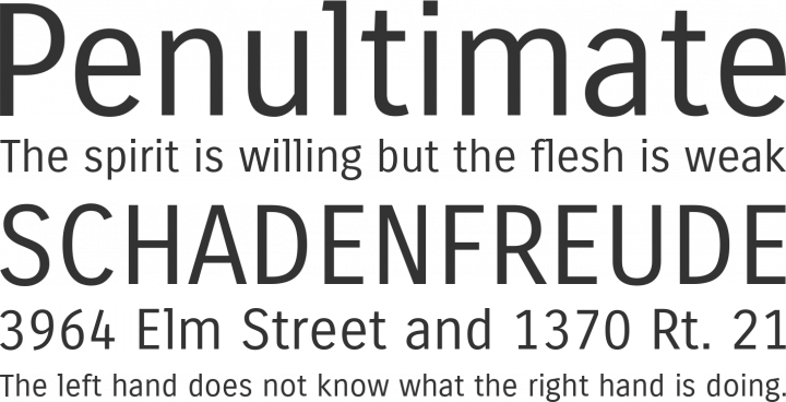 Carrois Gothic Font Phrases