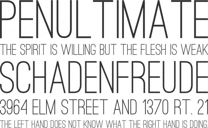 Ostrich Sans Font Phrases