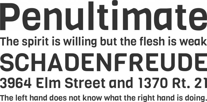 Viga Font Phrases
