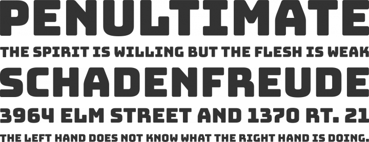 Bungee Font Phrases
