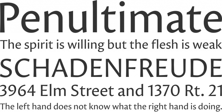 Proza Font Phrases