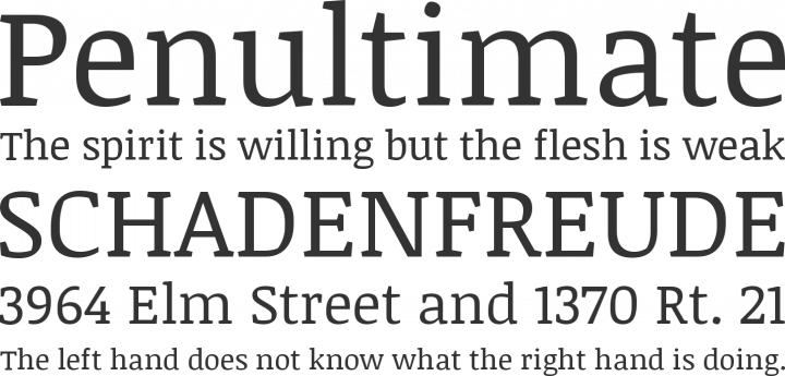Noticia Text Font Phrases