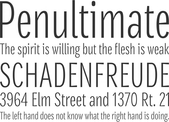 Densia Sans Font Phrases