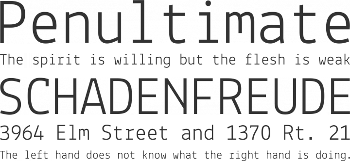 Lekton Font Phrases