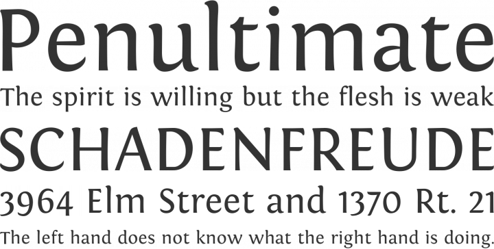Fontin Font Phrases