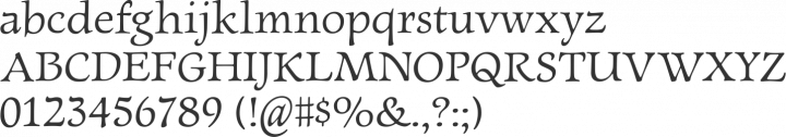 Newt Serif Font Specimen