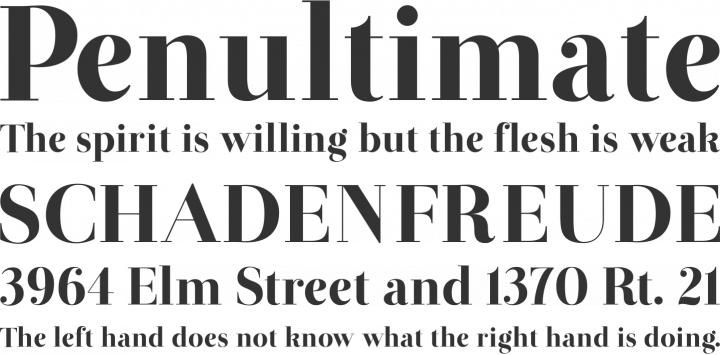 Otama e.p. Font Phrases
