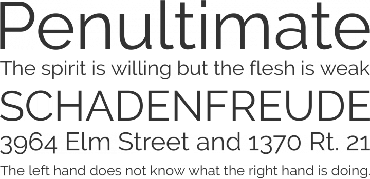 Raleway Font Phrases