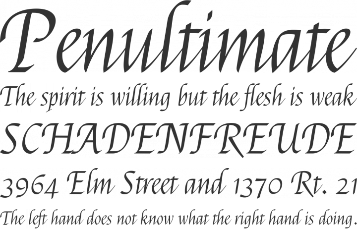Felipa Font Phrases
