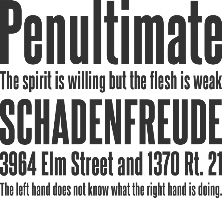 Steelfish Font Phrases