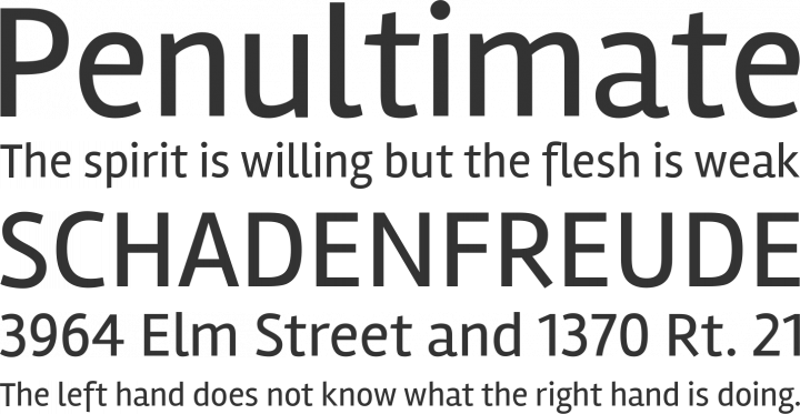 Rambla Font Phrases