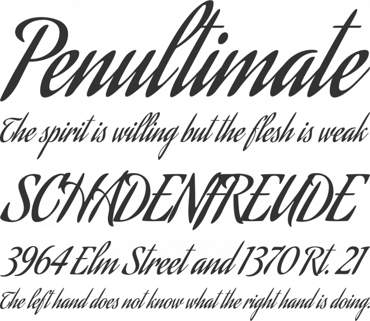 Aguafina Script Font Phrases