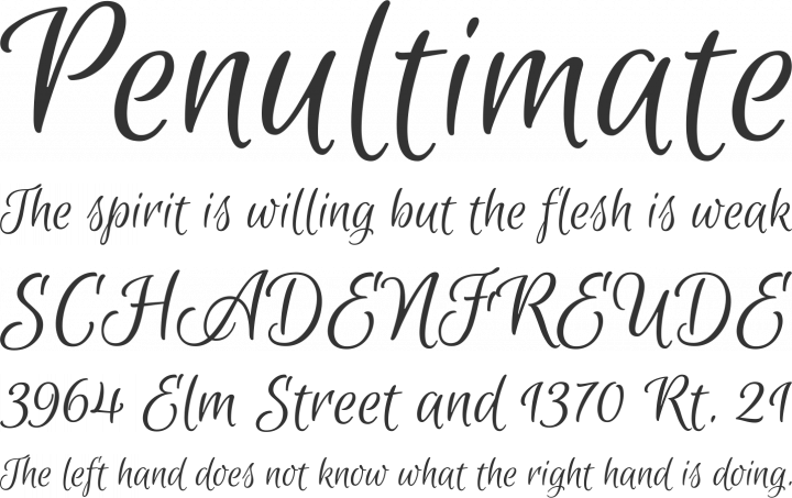 Euphoria Script Font Phrases