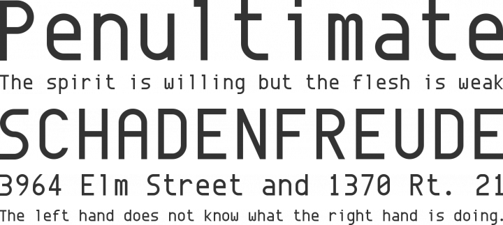 Envy Code R Font Phrases