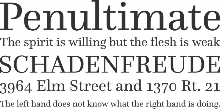 Questa Font Phrases