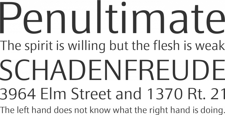 Epoca Classic Font Phrases