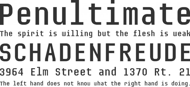 Audimat Mono Font Phrases