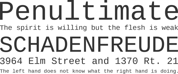 Liberation Mono Font Phrases