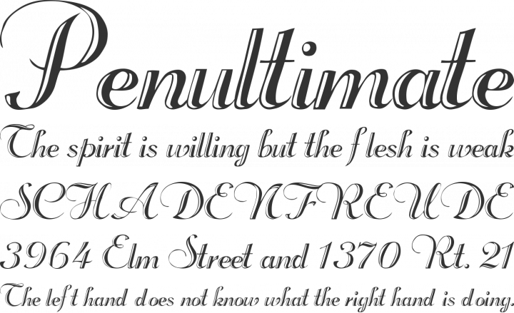 Rechtman Font Phrases