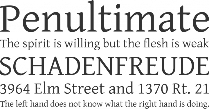 Gentium Basic Font Phrases