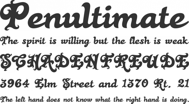 Black Rose Font Phrases