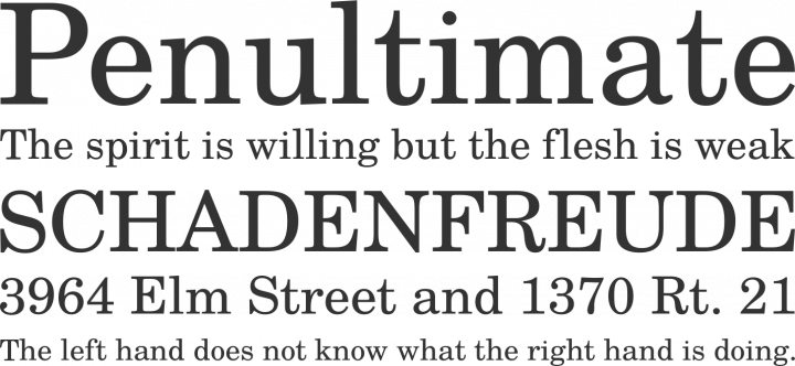 TeX Gyre Schola Font Phrases